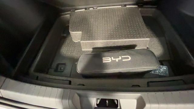 BYD Seal usata, con Park Distance Control