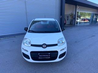 FIAT Panda usata, con Airbag