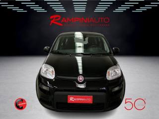 FIAT Panda usata 2