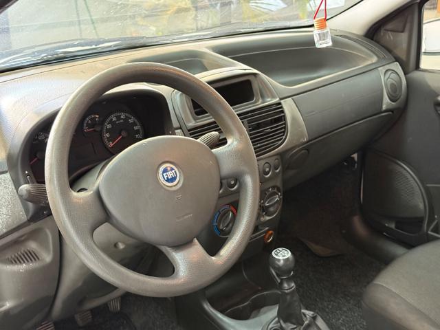 FIAT Punto usata 13