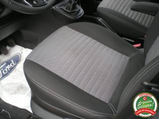 FIAT Qubo usata, con Bracciolo
