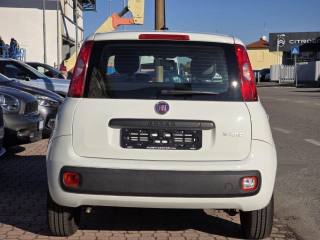 FIAT Panda usata, con Immobilizzatore elettronico