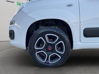 FIAT Panda usata 16