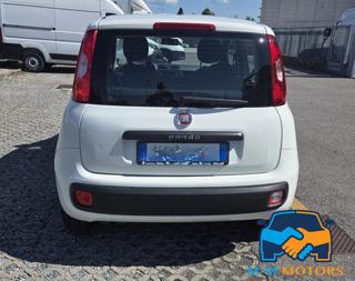FIAT Panda usata, con Alzacristalli elettrici