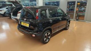 FIAT Panda Cross usata, con Antifurto