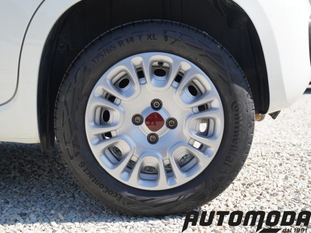 FIAT Panda usata 18