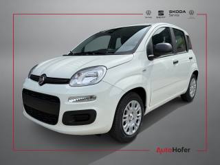 FIAT Pandina 1.0 Hybrid ICON Radio Clima 5P **AKTION**