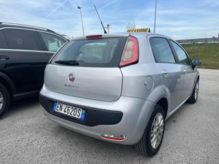 FIAT Punto Evo usata, con Airbag laterali