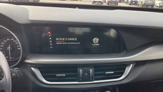 ALFA ROMEO Stelvio usata, con Luci diurne LED