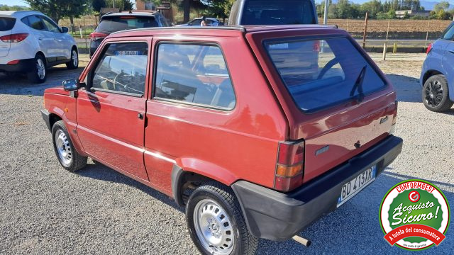 FIAT Panda usata 8