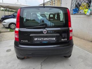 FIAT Panda usata 6