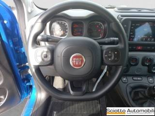 FIAT Panda usata, con Fendinebbia