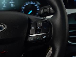 FORD Focus usata, con Vivavoce