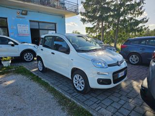 FIAT Panda usata, con Climatizzatore