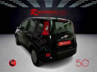FIAT Panda usata 8