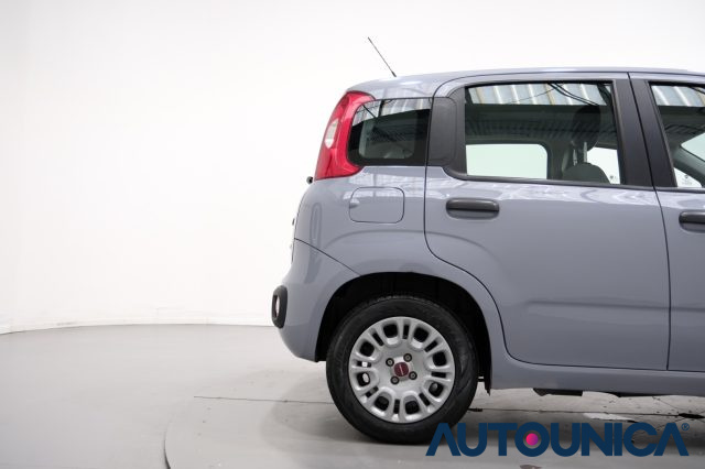 FIAT Panda usata 44