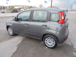 FIAT Panda usata, con Chiusura centralizzata