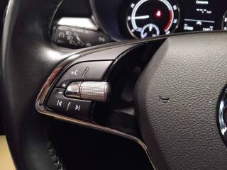 SKODA Fabia usata 19