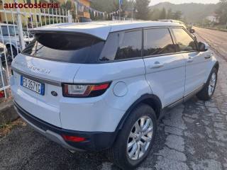 LAND ROVER Range Rover Evoque usata 14