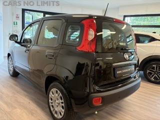 FIAT Panda usata, con Airbag Passeggero