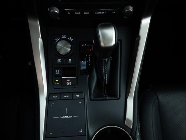 LEXUS NX 200t usata, con Leve al volante