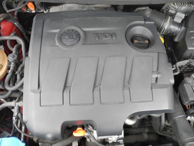 SKODA Fabia usata 59