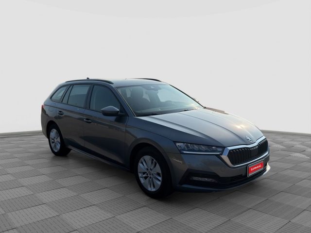 SKODA Octavia usata 6