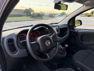 FIAT Panda usata, con Climatizzatore