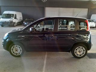 FIAT Panda usata, con Airbag