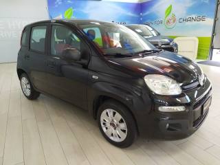 FIAT Panda usata, con Airbag Passeggero