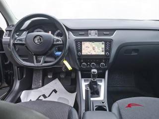 SKODA Octavia usata 14