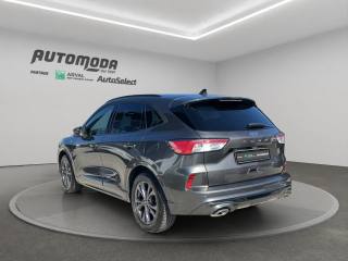 FORD Kuga usata, con Sedili riscaldati