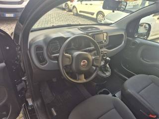 FIAT Panda usata, con Climatizzatore