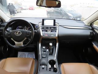LEXUS NX 300 usata, con Fendinebbia