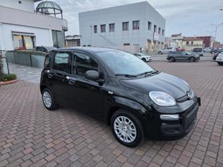 FIAT Panda usata, con Airbag Passeggero