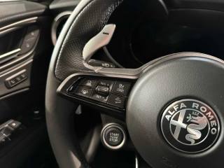 ALFA ROMEO Stelvio usata, con Airbag testa