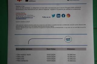 PEUGEOT 3008 usata, con Chiusura centralizzata