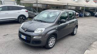 FIAT Panda usata, con Airbag Passeggero