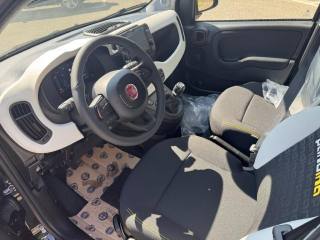 FIAT Panda usata, con Antifurto