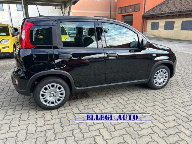 FIAT Panda usata, con Alzacristalli elettrici