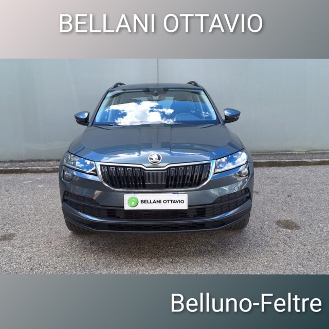 SKODA Karoq usata, con Airbag