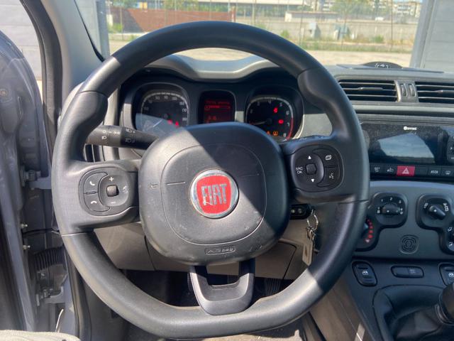 FIAT Panda usata 17