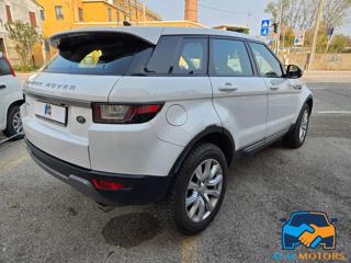 LAND ROVER Range Rover Evoque usata, con Airbag Passeggero