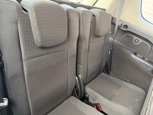 RENAULT Scenic usata, con Fendinebbia