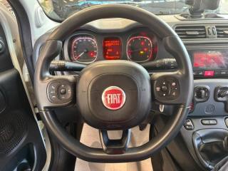 FIAT Panda usata, con Fendinebbia