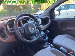 FIAT Panda Cross usata, con Fendinebbia