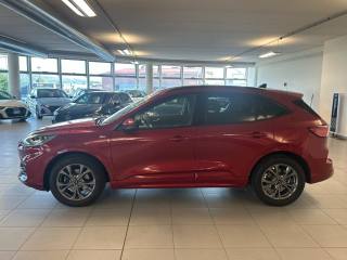 FORD Kuga usata, con Airbag Passeggero