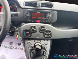 FIAT Panda usata, con Controllo vocale