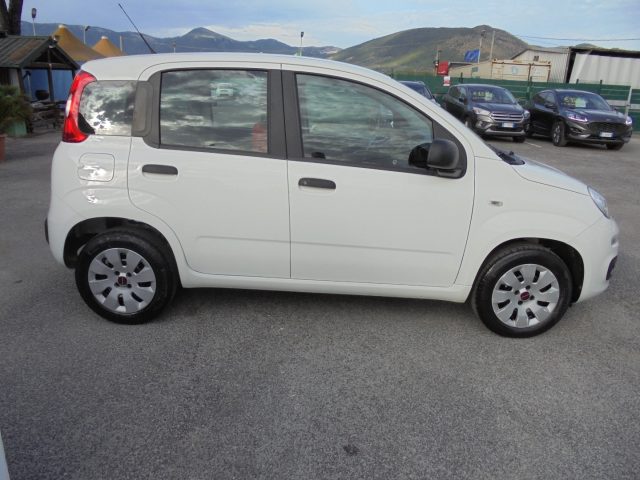 FIAT Panda usata 13