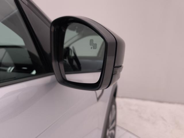 LAND ROVER Discovery Sport usata, con Autoradio digitale